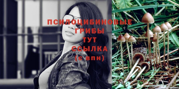 не бодяженный Абаза