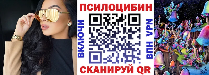 Псилоцибиновые грибы Psilocybe  Энгельс 